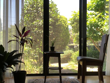 bright living room with natural sunlight