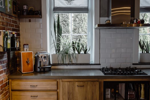 eco-friendly products on a kitchen counter