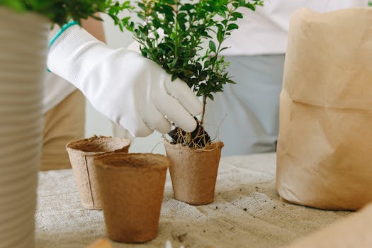 eco-conscious nursery with plants and toys