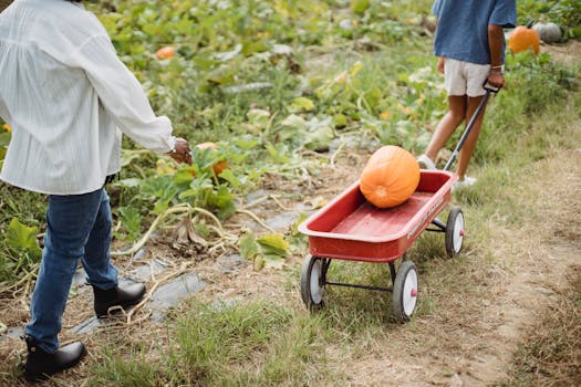 family working together in the garden