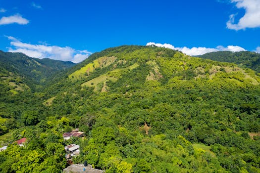 family hiking in a lush green forest